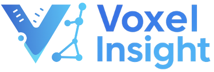 VoxelInsight logo